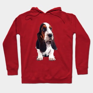 Basset Hound Cute Puppy Dog Hoodie